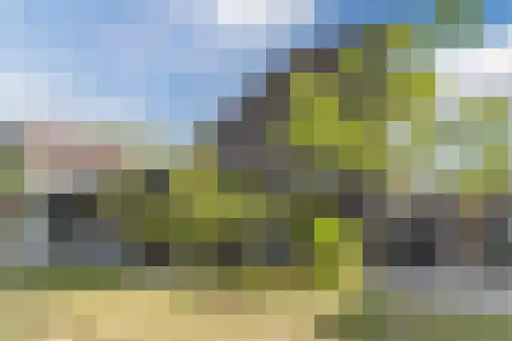Vijverhoef 9 Eindhoven thumbnail 27
