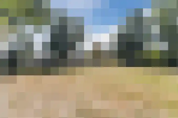 Vijverhoef 9 Eindhoven thumbnail 29