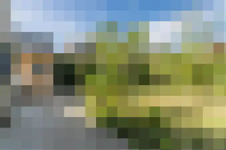 Vijverhoef 9 Eindhoven thumbnail 33