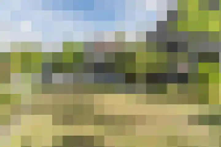Vijverhoef 9 Eindhoven thumbnail 37