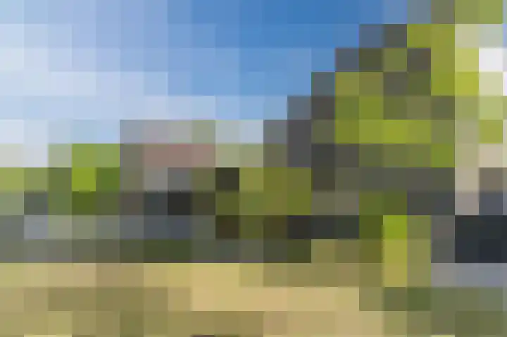 Vijverhoef 9 Eindhoven thumbnail 41