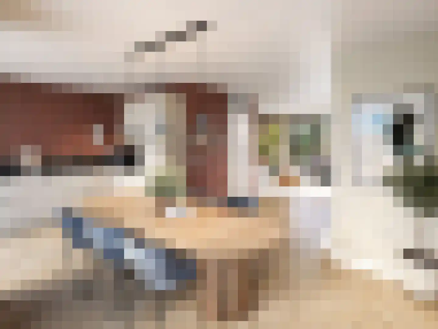 Vijverhof 1 Bunschoten-Spakenburg thumbnail 6