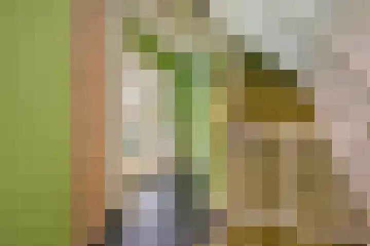 Vijverhof 1 Voorburg thumbnail 10