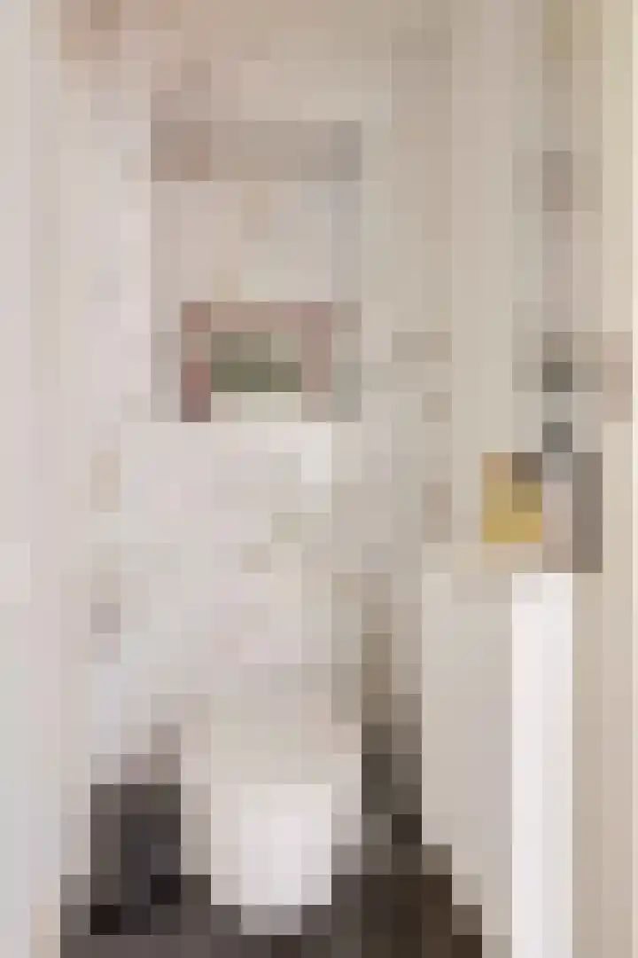 Vijverhof 1 Voorburg thumbnail 11