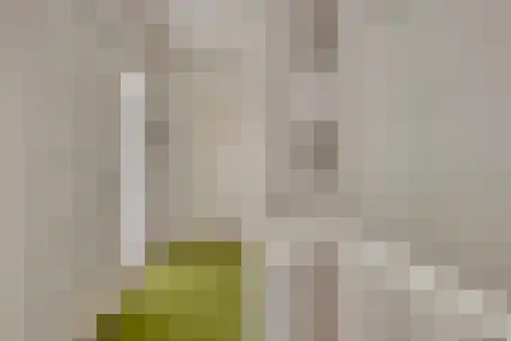 Vijverhof 1 Voorburg thumbnail 26