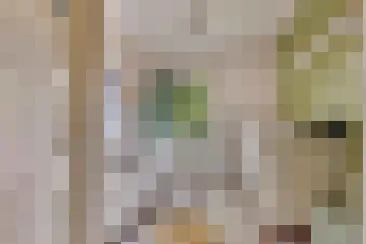 Vijverhof 1 Voorburg thumbnail 27