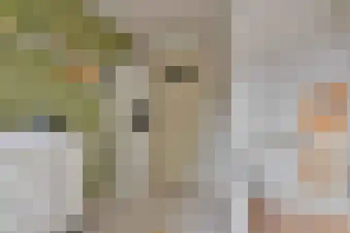 Vijverhof 1 Voorburg thumbnail 28