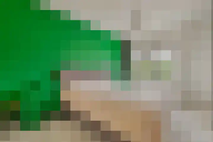 Vijverhof 1 Voorburg thumbnail 31