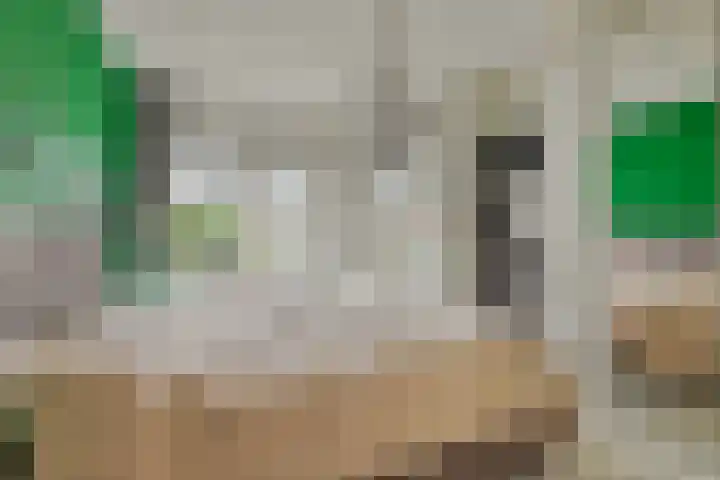 Vijverhof 1 Voorburg thumbnail 32