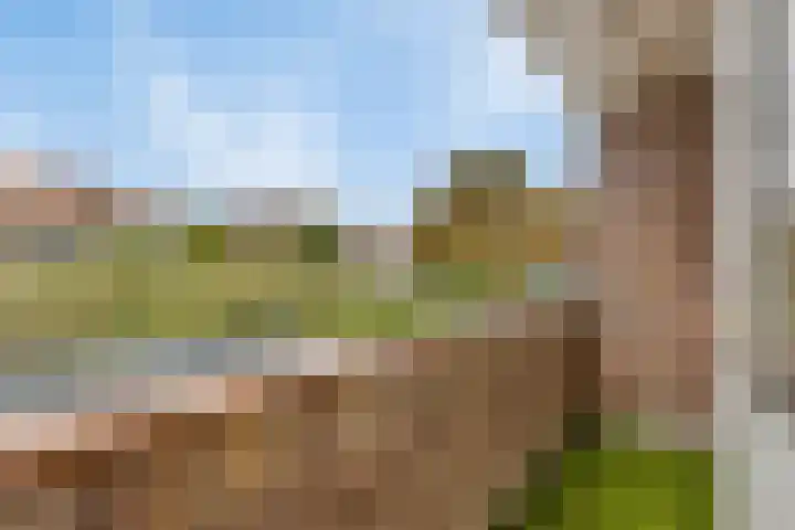 Vijverhof 1 Voorburg thumbnail 33