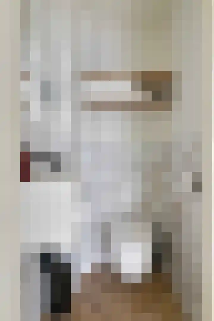 Vijverhof 1 Voorburg thumbnail 35
