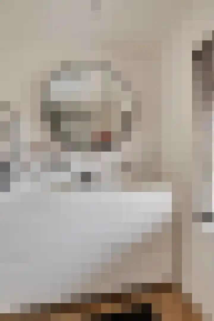 Vijverhof 1 Voorburg thumbnail 36