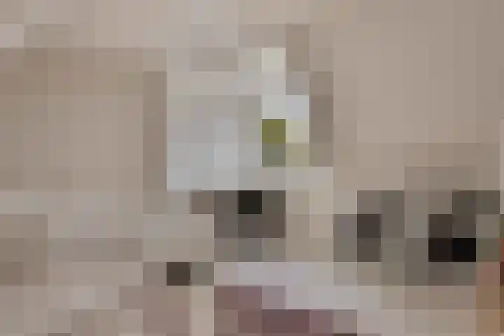 Vijverhof 1 Voorburg thumbnail 43