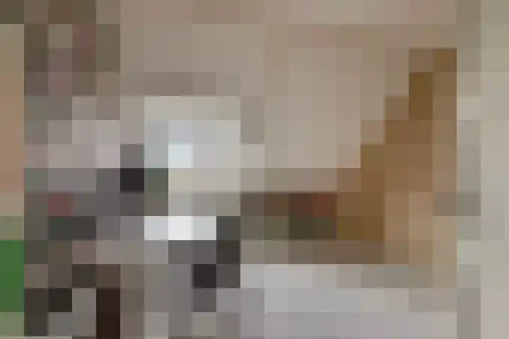Vijverhof 1 Voorburg thumbnail 45