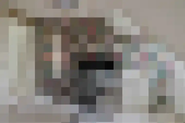 Vijverhof 1 Voorburg thumbnail 46