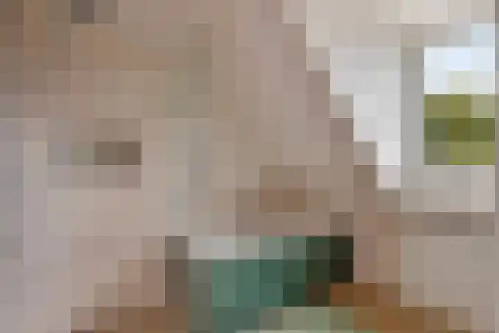 Vijverhof 1 Voorburg thumbnail 51