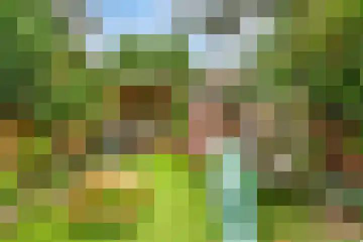 Vijverhof 1 Voorburg thumbnail 54