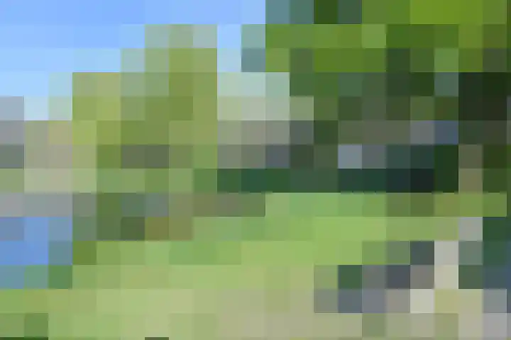 Vijverhof 1 Voorburg thumbnail 57
