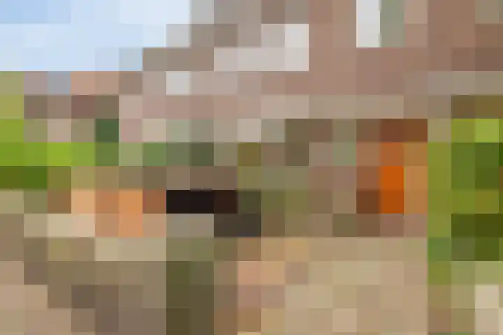 Vijverhof 1 Voorburg thumbnail 6