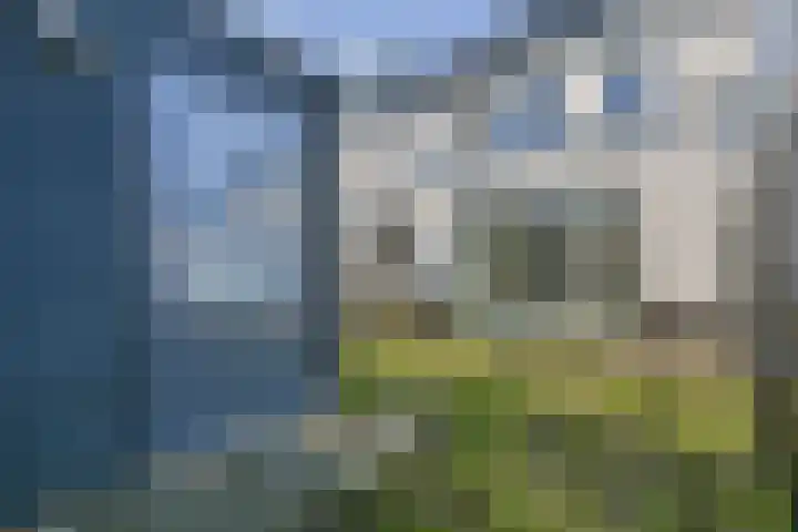Vijverhof 10 Weesp thumbnail 18