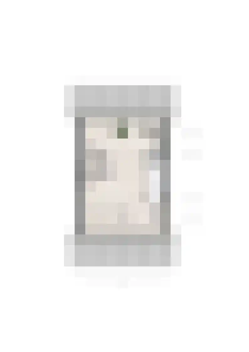 Vijverhof 15 Bunschoten-Spakenburg thumbnail 5