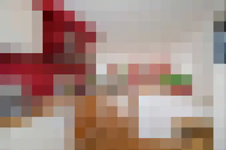 Vijverhof 15 Olst thumbnail 12