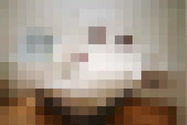 Vijverhof 15 Olst thumbnail 15