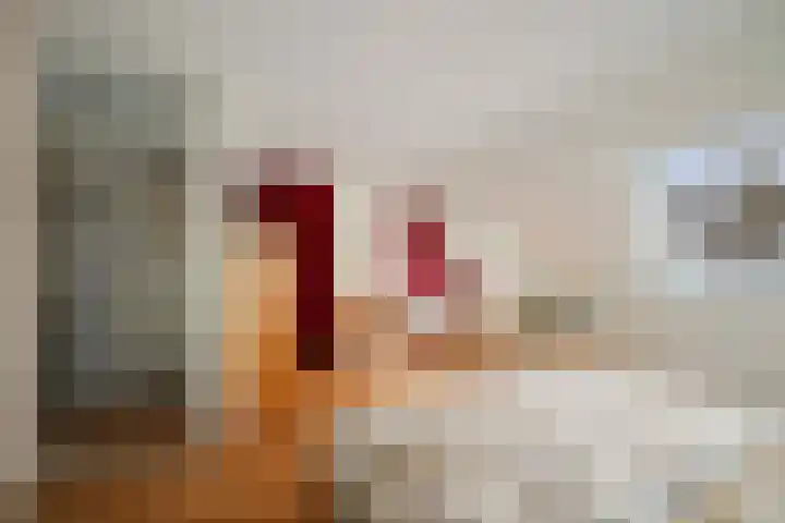 Vijverhof 15 Olst thumbnail 16