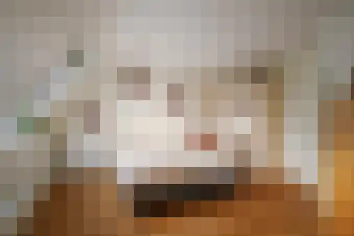 Vijverhof 15 Olst thumbnail 17