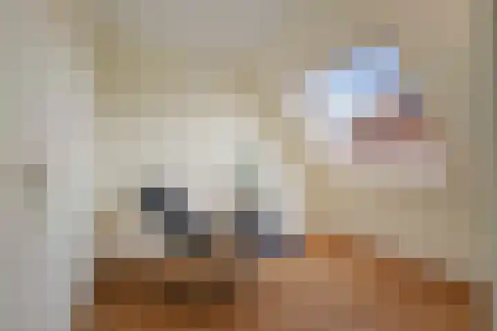 Vijverhof 15 Olst thumbnail 18