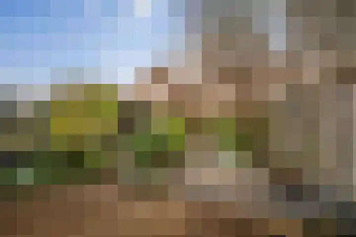 Vijverhof 15 Olst thumbnail 24