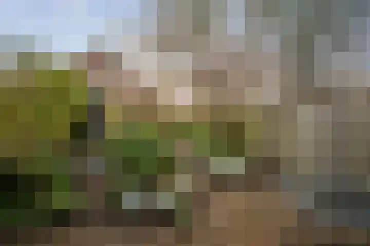 Vijverhof 15 Olst thumbnail 25