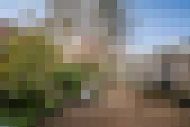 Vijverhof 15 Olst thumbnail 26