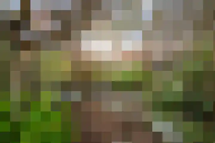 Vijverhof 15 Olst thumbnail 27