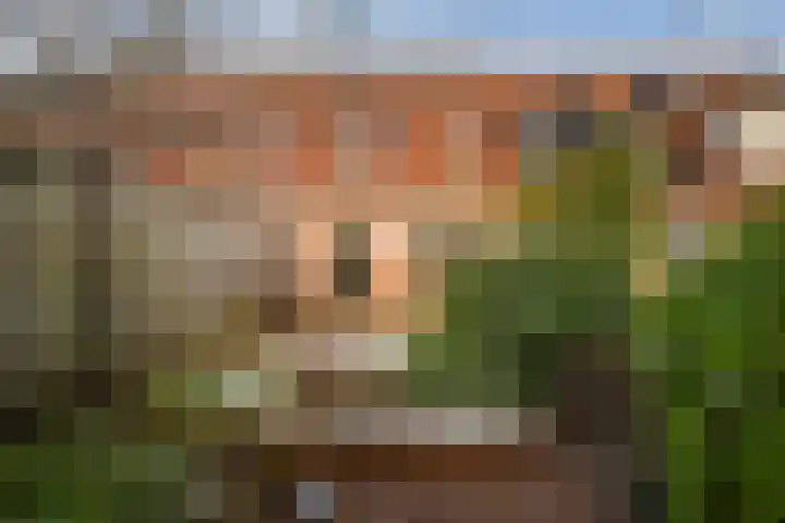 Vijverhof 15 Olst thumbnail 28