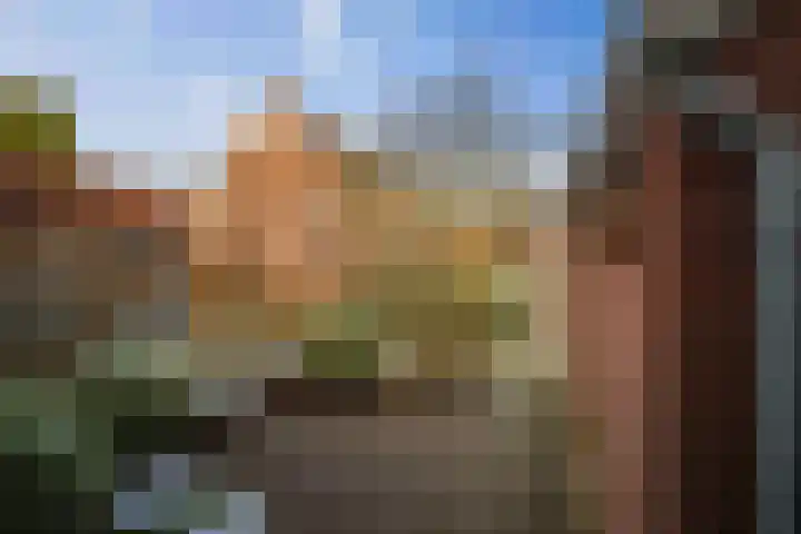 Vijverhof 15 Olst thumbnail 4
