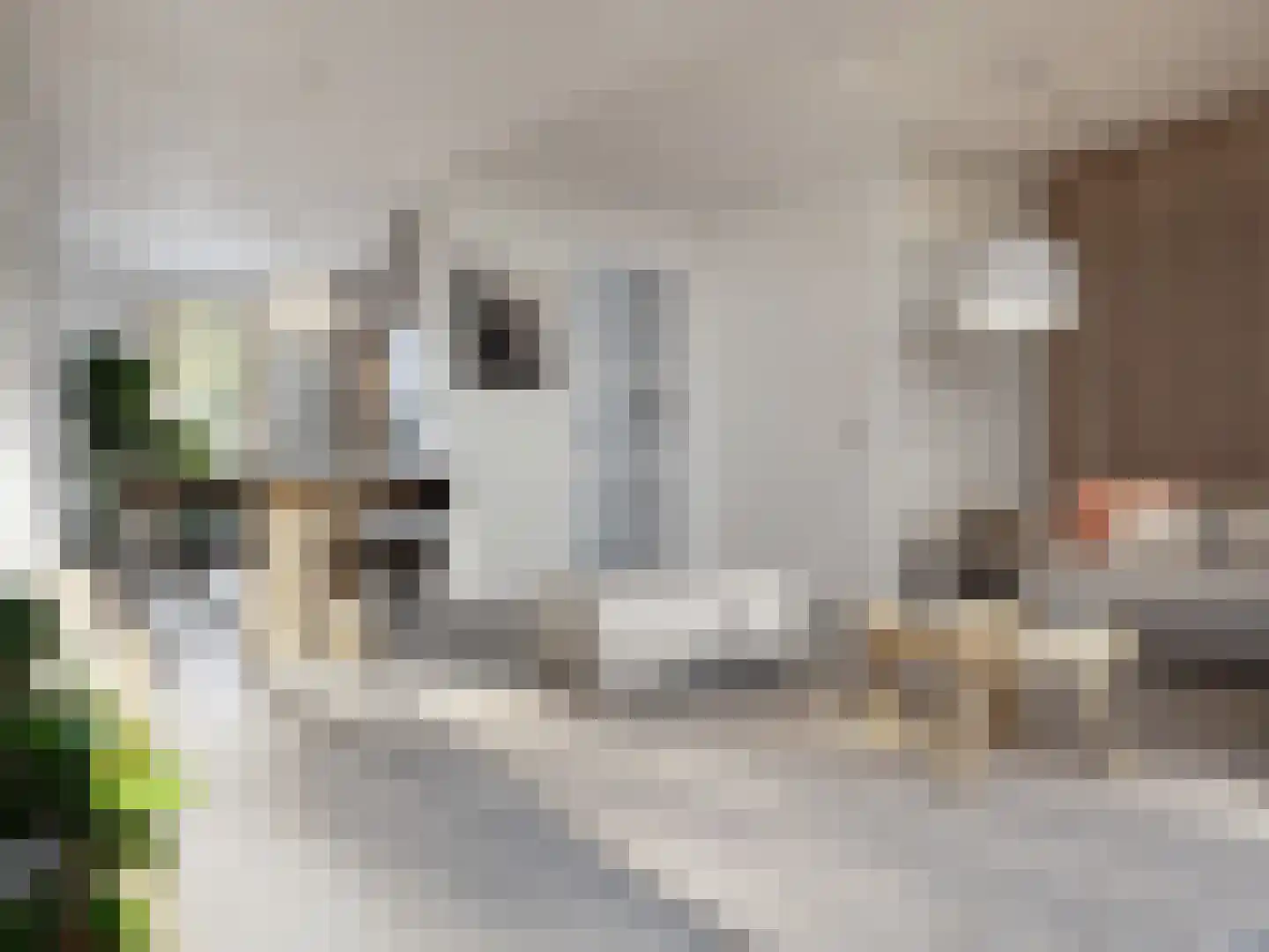 Vijverhof 16 Bunschoten-Spakenburg thumbnail 6