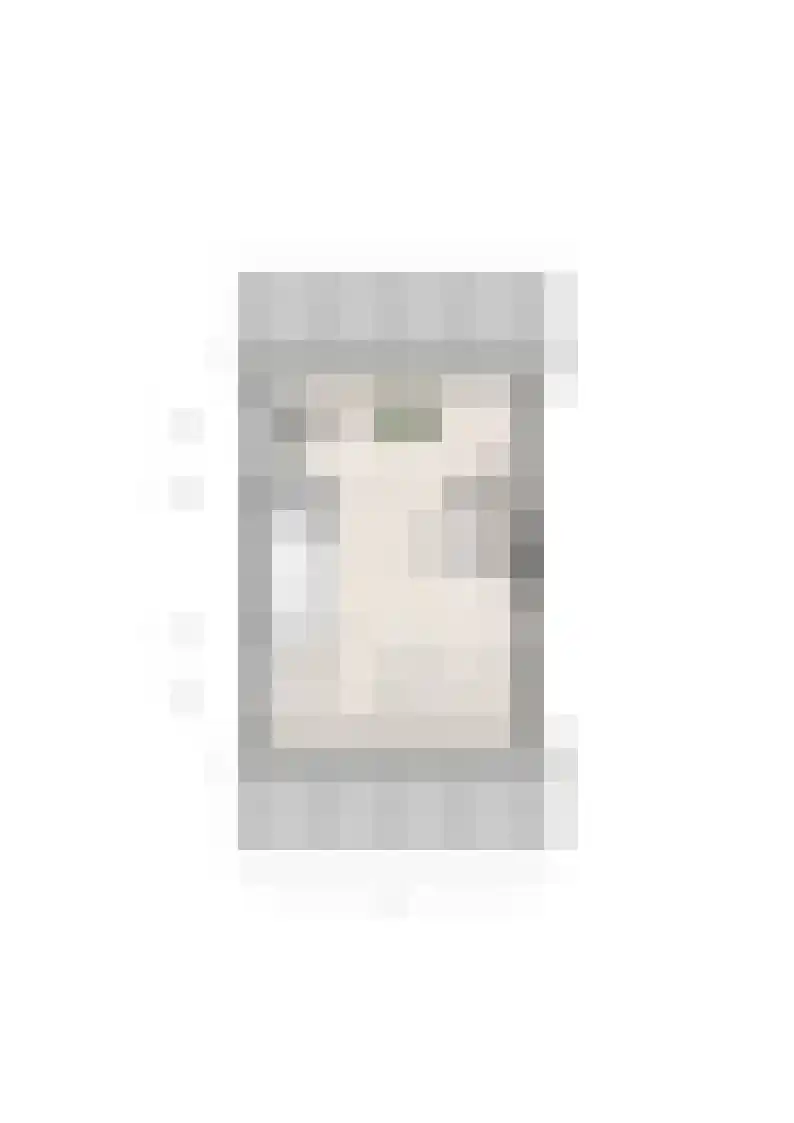 Vijverhof 18 Bunschoten-Spakenburg thumbnail 5