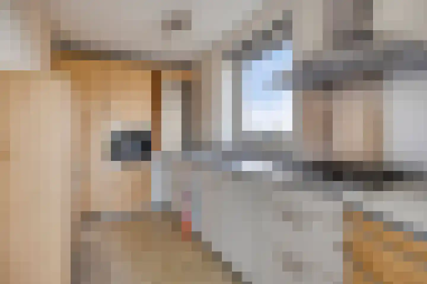 Vijverhof 24 Avenhorn thumbnail 14