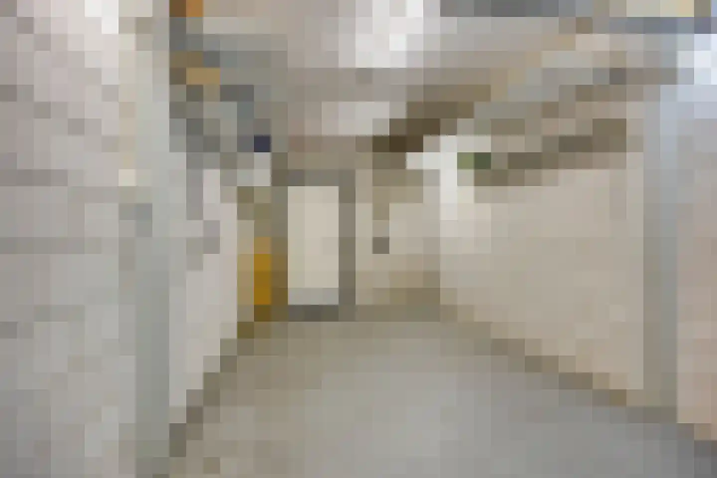 Vijverhof 24 Avenhorn thumbnail 27