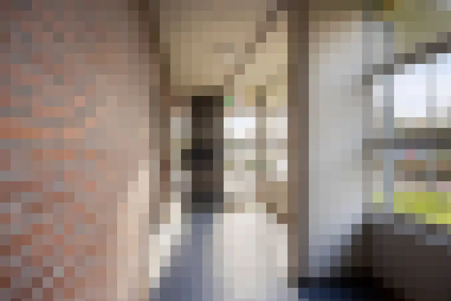 Vijverhof 24 Avenhorn thumbnail 8
