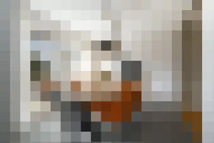Vijverhof 25 Olst thumbnail 10