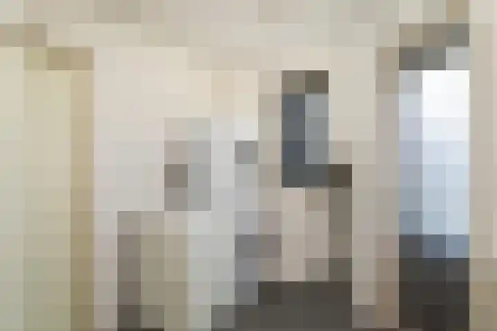 Vijverhof 25 Olst thumbnail 12