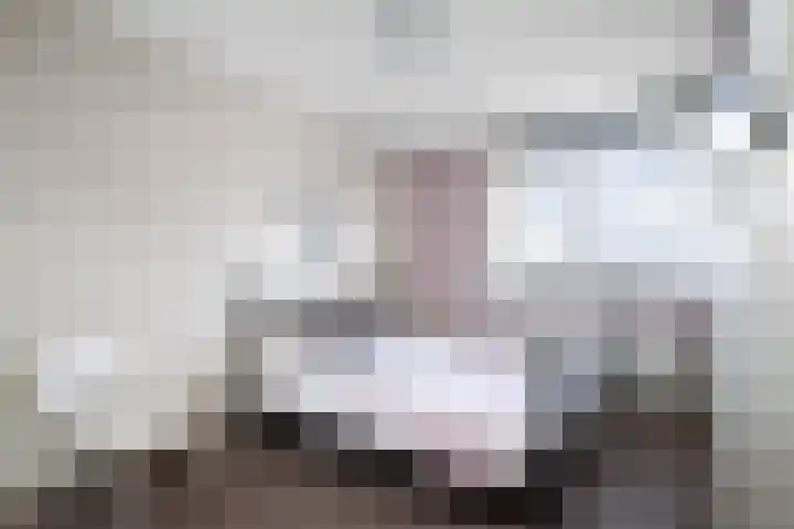 Vijverhof 25 Olst thumbnail 17
