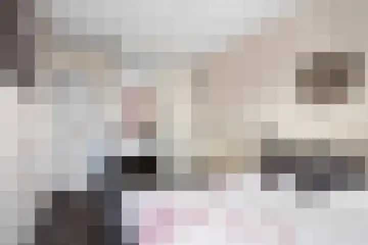 Vijverhof 25 Olst thumbnail 18
