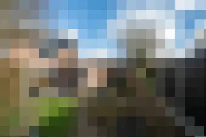 Vijverhof 25 Olst thumbnail 29
