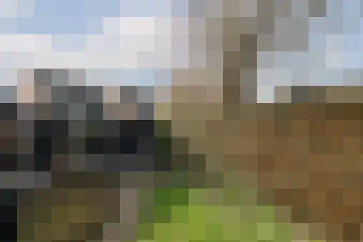 Vijverhof 25 Olst thumbnail 30