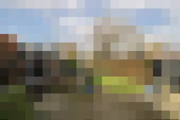 Vijverhof 25 Olst thumbnail 31