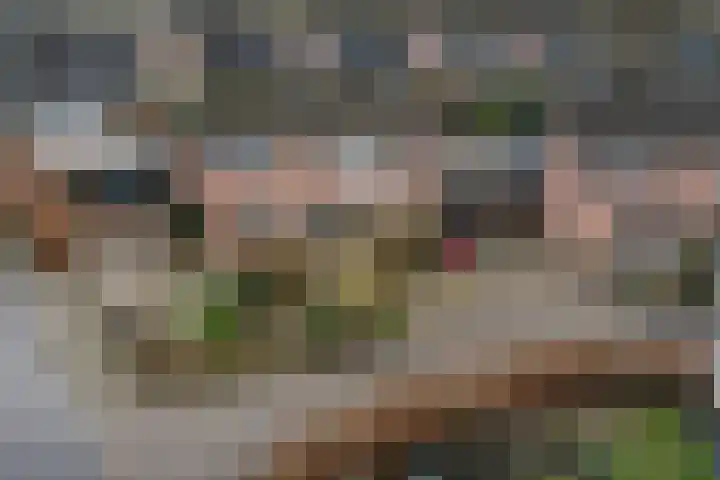Vijverhof 25 Olst thumbnail 36