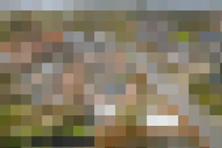 Vijverhof 25 Olst thumbnail 39